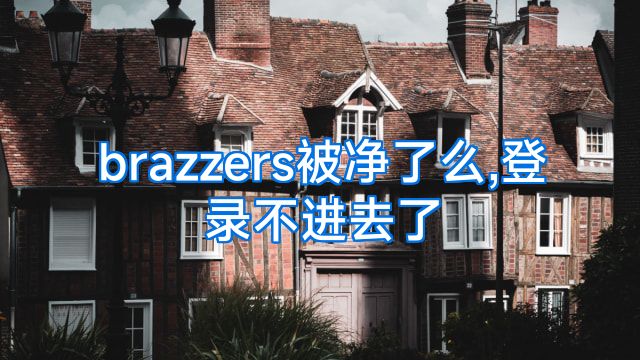 brazzers被净了么,登录不进去了