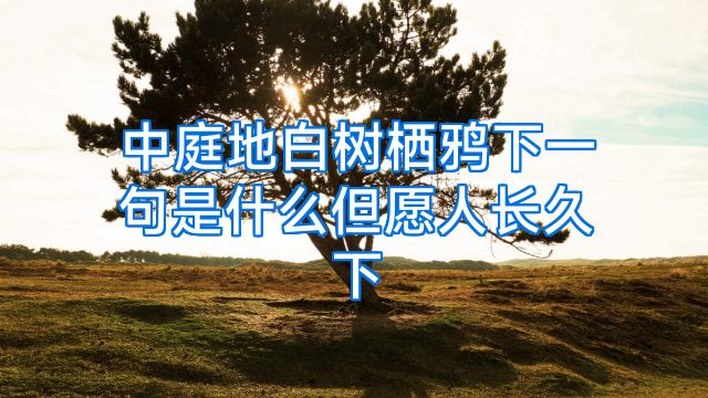 中庭地白树栖鸦下一句是什么但愿人长久下