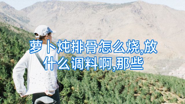 萝卜炖排骨怎么烧,放什么调料啊,那些
