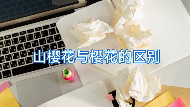 山樱花与樱花的区别