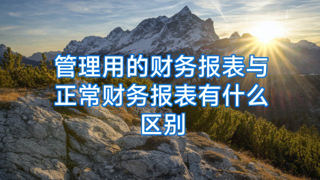 管理用的财务报表与正常财务报表有什么区别