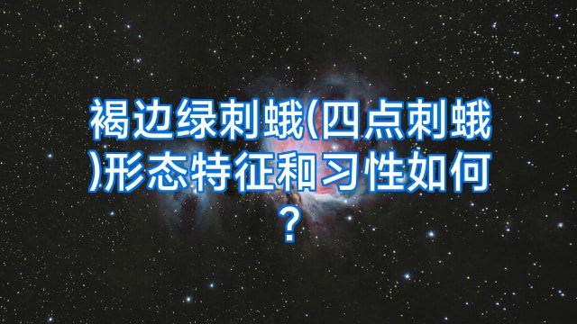褐边绿刺蛾(四点刺蛾)形态特征和习性如何?