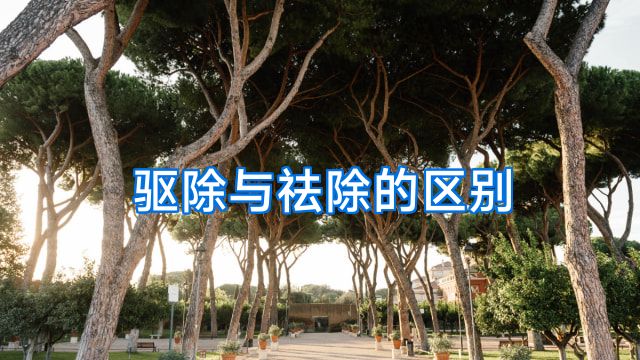 驱除与祛除的区别