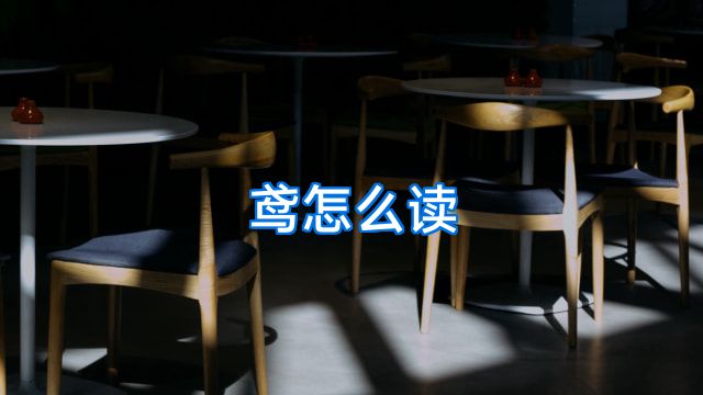 鸢怎么读