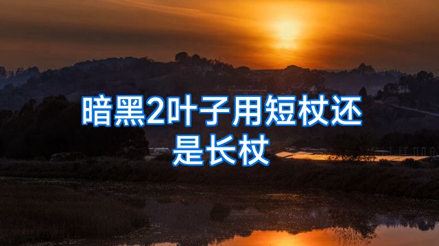 暗黑2叶子用短杖还是长杖