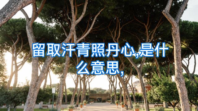 留取汗青照丹心,是什么意思,