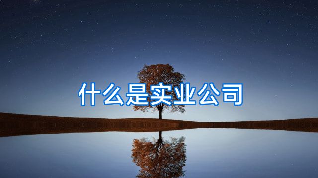 什么是实业公司