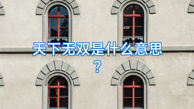 天下无双是什么意思?
