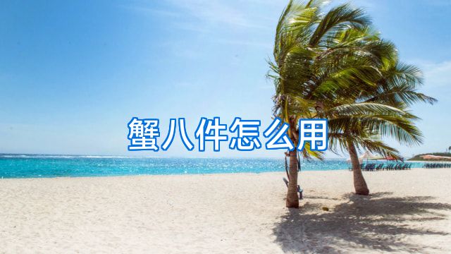 蟹八件怎么用