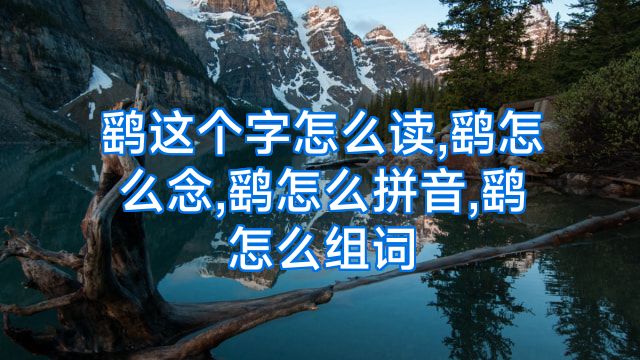鹞这个字怎么读,鹞怎么念,鹞怎么拼音,鹞怎么组词