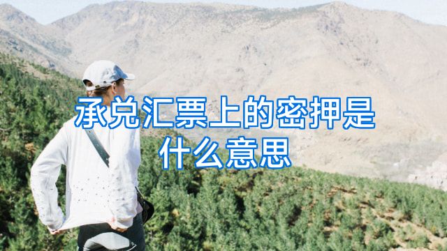 承兑汇票上的密押是什么意思