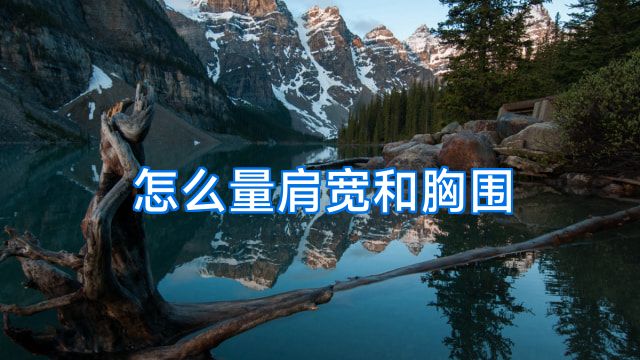 怎么量肩宽和胸围