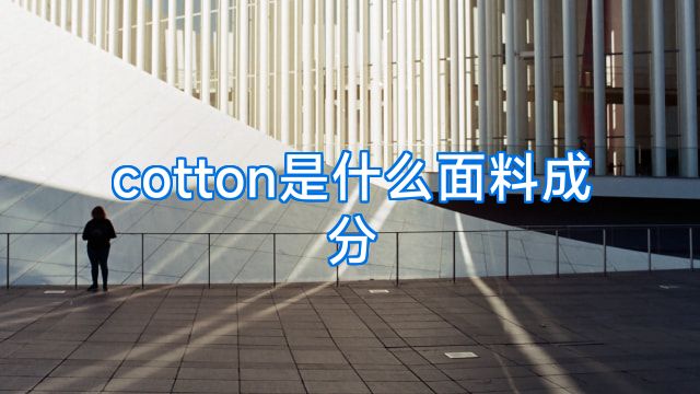 cotton是什么面料成分