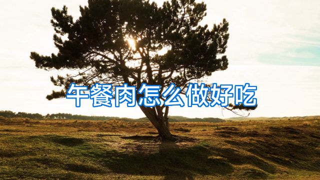 午餐肉怎么做好吃