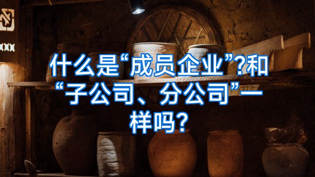什么是“成员企业”?和“子公司、分公司”一样吗?
