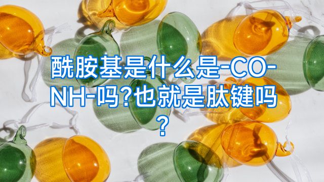 酰胺基是什么是-CO-NH-吗?也就是肽键吗?