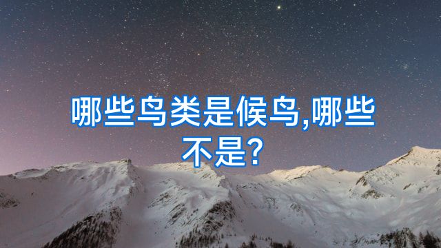 哪些鸟类是候鸟,哪些不是?