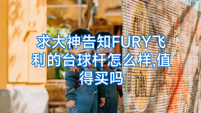 求大神告知FURY飞利的台球杆怎么样,值得买吗