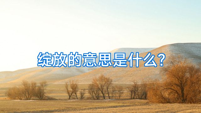绽放的意思是什么?