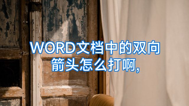 WORD文档中的双向箭头怎么打啊,