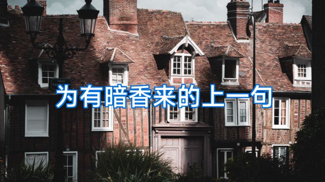 为有暗香来的上一句