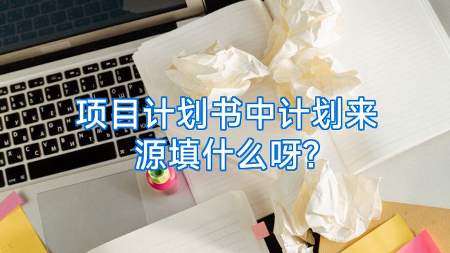 项目计划书中计划来源填什么呀?
