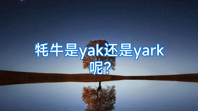 牦牛是yak还是yark呢?
