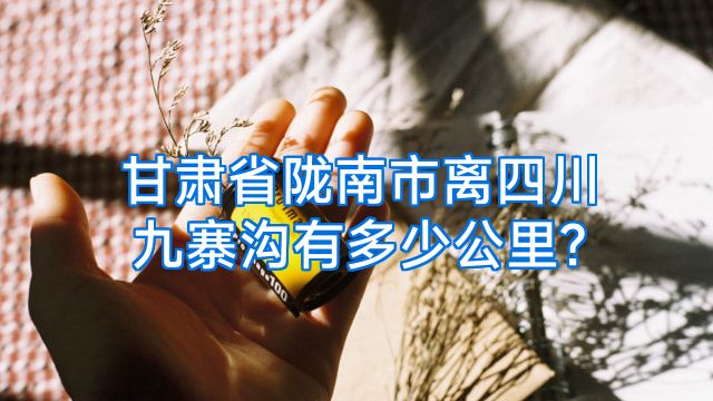 甘肃省陇南市离四川九寨沟有多少公里?