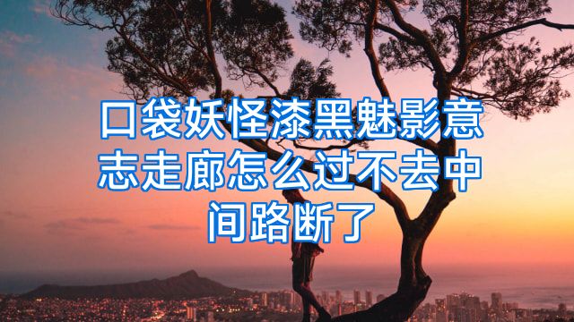 口袋妖怪漆黑魅影意志走廊怎么过不去中间路断了