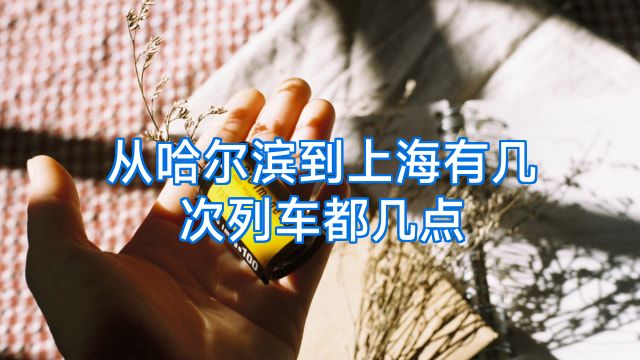 从哈尔滨到上海有几次列车都几点