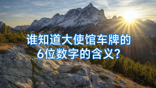 谁知道大使馆车牌的6位数字的含义?