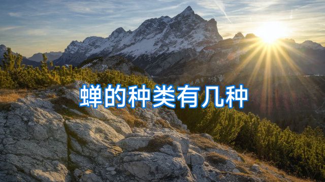 蝉的种类有几种