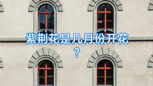 紫荆花是几月份开花?