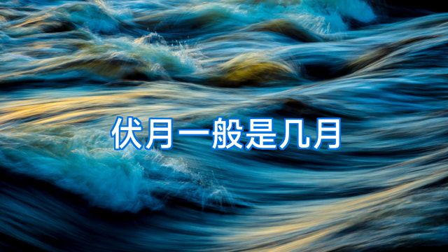 伏月一般是几月