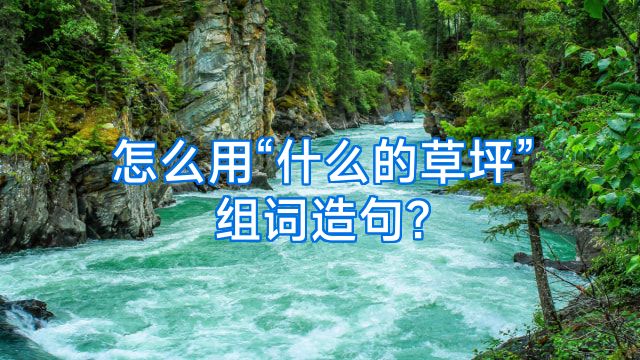 怎么用“什么的草坪”组词造句?