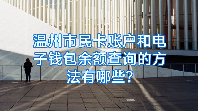 温州市民卡账户和电子钱包余额查询的方法有哪些?