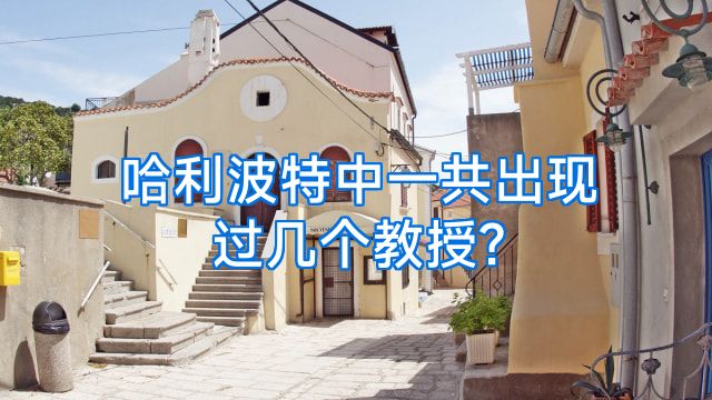 哈利波特中一共出现过几个教授?