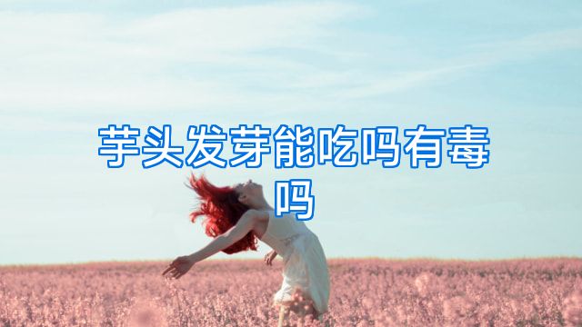 芋头发芽能吃吗有毒吗
