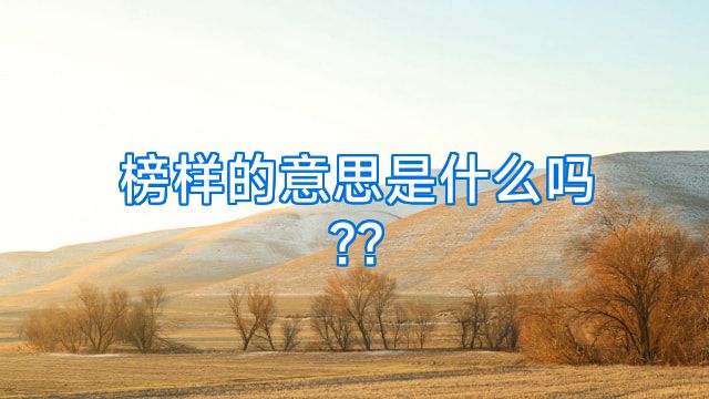 榜样的意思是什么吗??