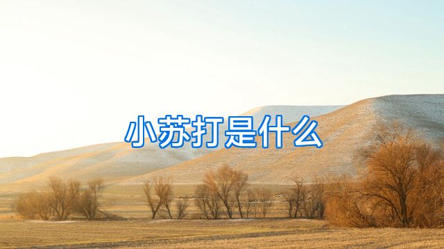 小苏打是什么
