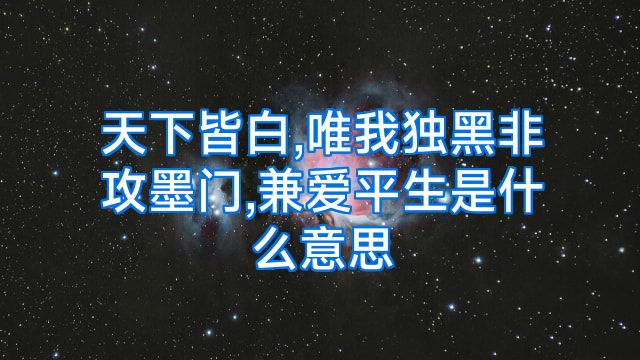 天下皆白,唯我独黑非攻墨门,兼爱平生是什么意思