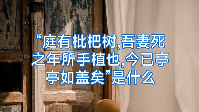 “庭有枇杷树,吾妻死之年所手植也,今已亭亭如盖矣”是什么