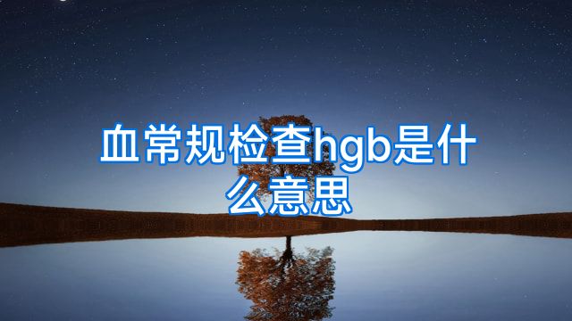 血常规检查hgb是什么意思