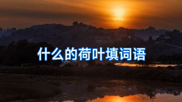 什么的荷叶填词语