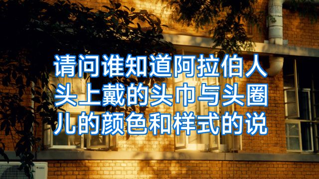 请问谁知道阿拉伯人头上戴的头巾与头圈儿的颜色和样式的说