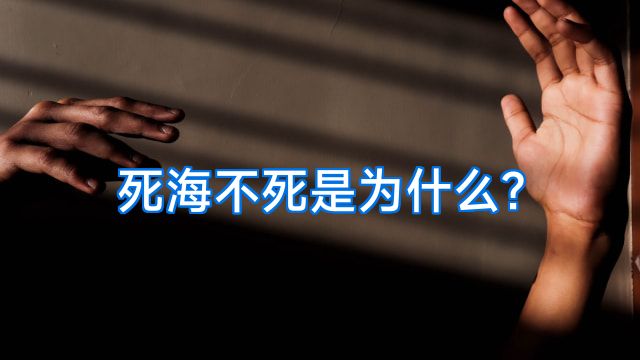 死海不死是为什么?