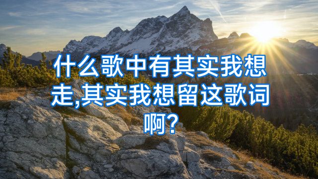 什么歌中有其实我想走,其实我想留这歌词啊?