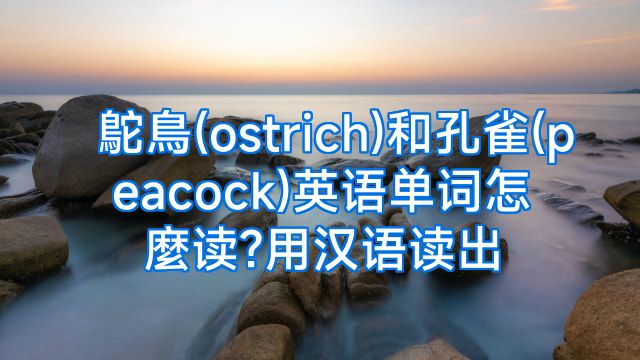 鴕鳥(ostrich)和孔雀(peacock)英语单词怎麼读?用汉语读出