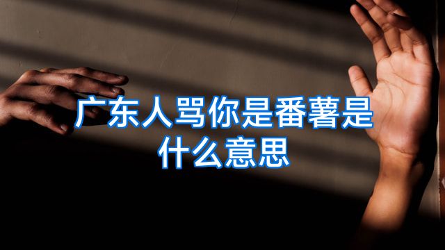 广东人骂你是番薯是什么意思