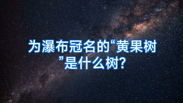 为瀑布冠名的“黄果树”是什么树?